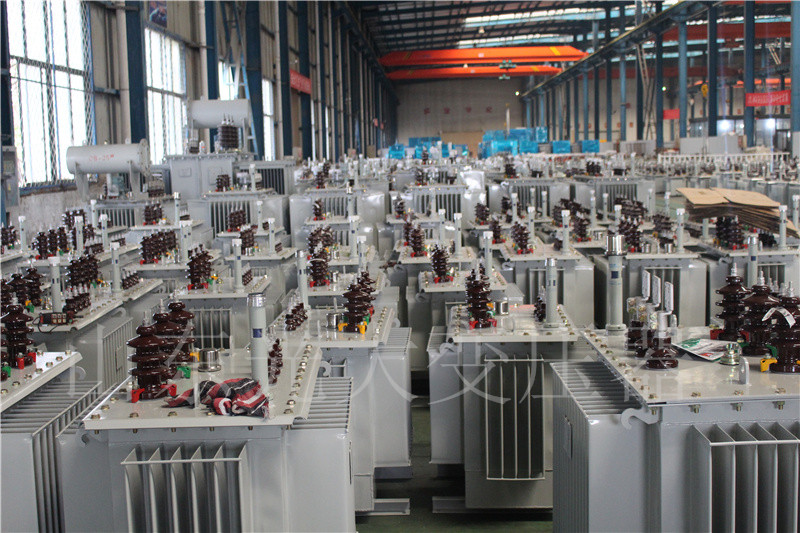 和田S22-800KVA/10KV